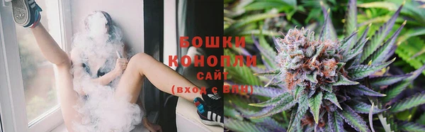 индика Семилуки