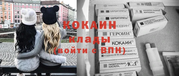 ПСИЛОЦИБИНОВЫЕ ГРИБЫ Верея