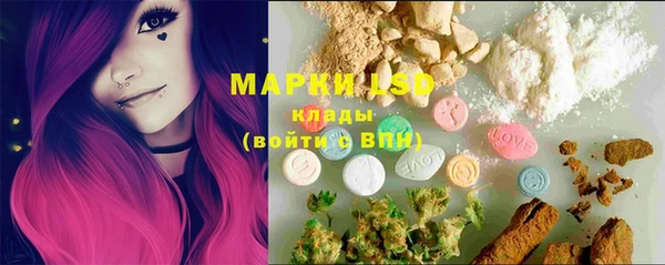 спиды Магас